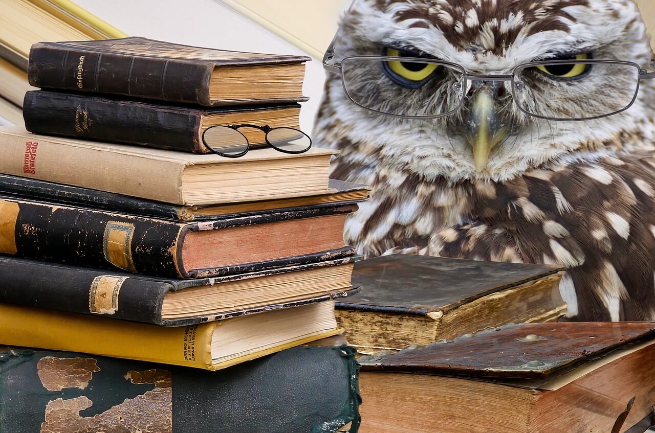 Basiswissen der Buchhaltung für Anfänger