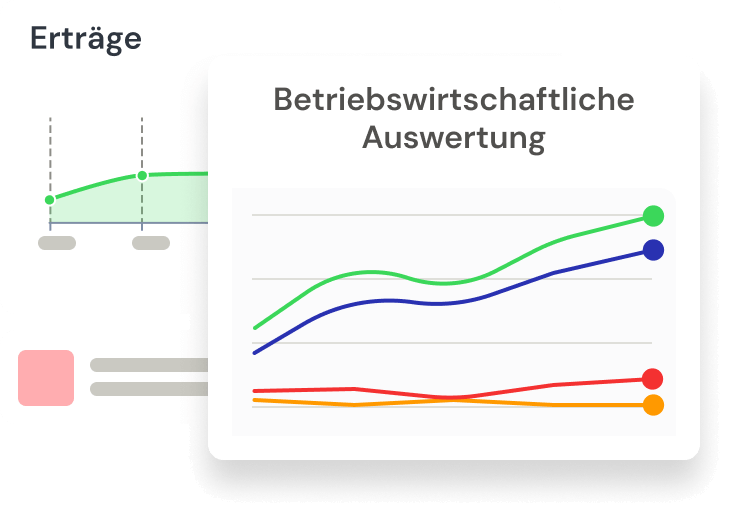 Betriebswirtschaftliche Auswertung mit Buchhaltungssoftware BuchhaltungsButler